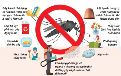 PHÒNG BỆNH SỐT XUẤT HUYẾT